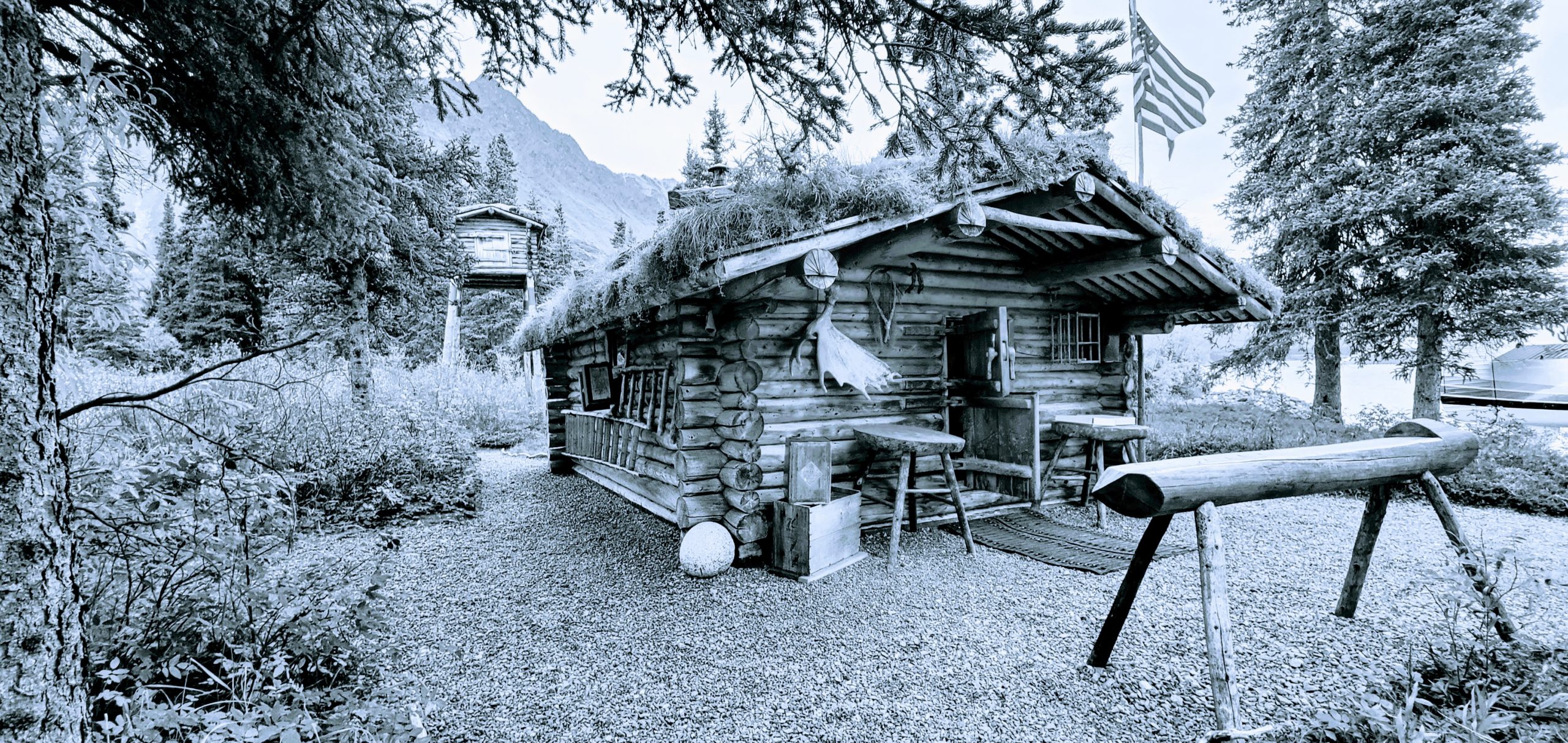 Proenneke Homestead by Willie Young