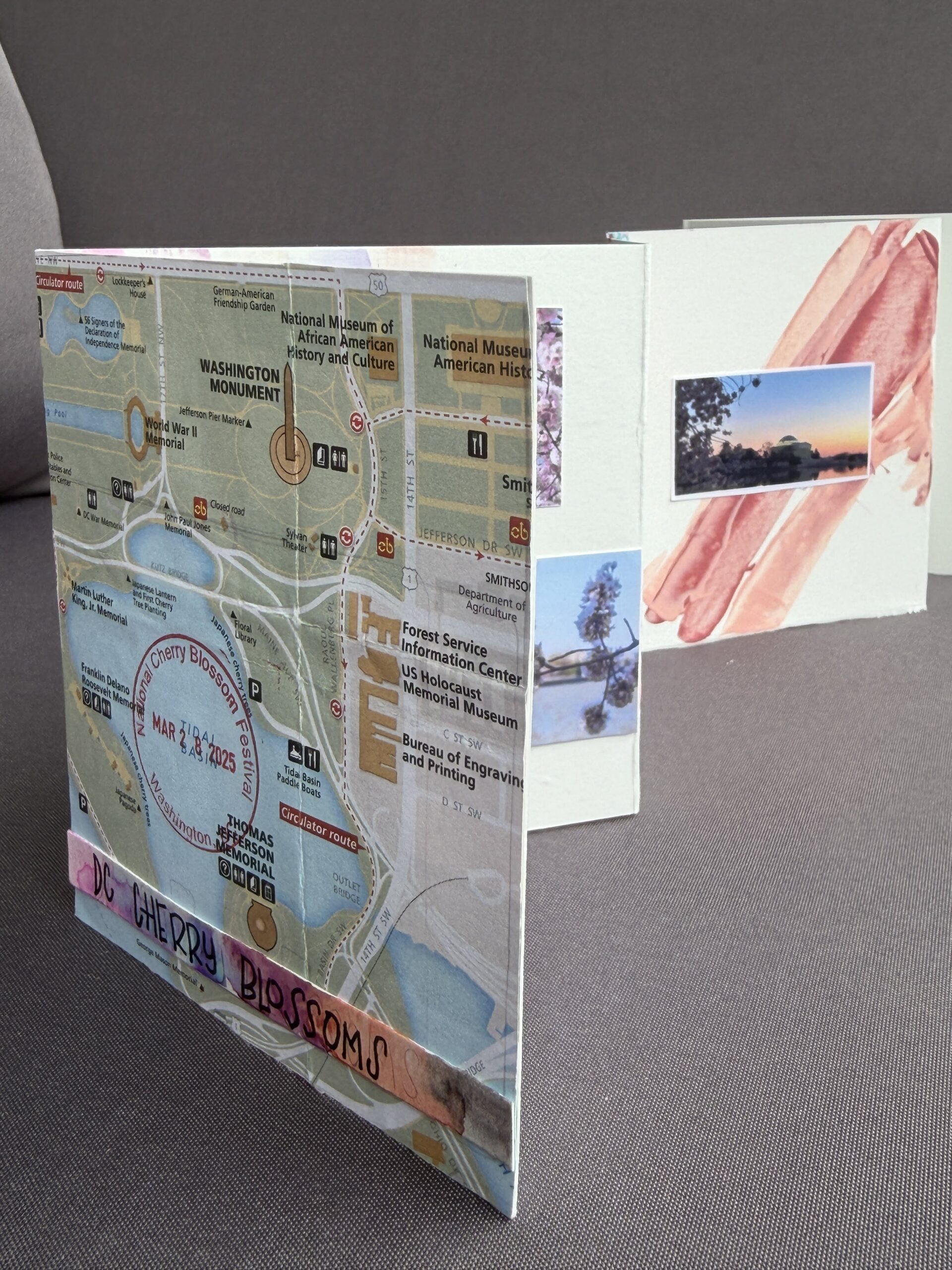 Concertina Book by Nerissa Alford