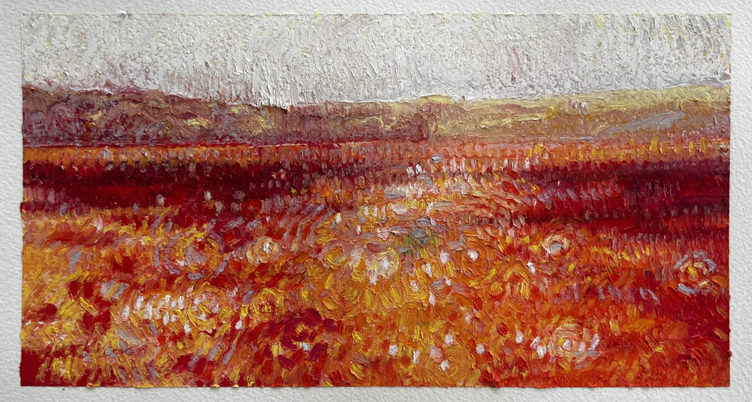 Sea and Sun Meditations by Kate Sinclair