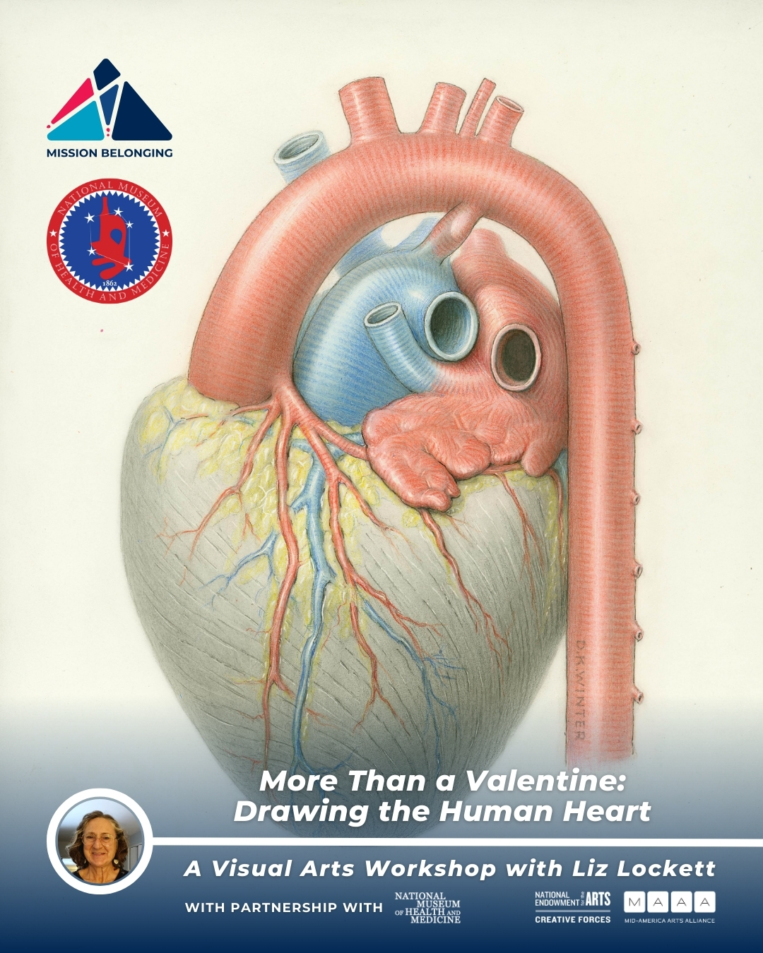 2026.02.11 Visual Art with Liz Lockett and NMHM Promotional poster for a visual arts workshop titled “More Than a Valentine: Drawing the Human Heart,” featuring a detailed anatomical illustration of the heart with realistic textures and coloration. The artwork highlights major arteries, veins, and chambers, emphasizing the complexity and beauty of the heart’s structure. Top left corner displays the Mission Belonging logo. Bottom section includes a circular photo of instructor Liz Lockett and the text: “More Than a Valentine: A Visual Arts Workshop with Liz Lockett.” Logos for the National Endowment for the Arts, Creative Forces, and Mid-America Arts Alliance appear below, indicating sponsorship.