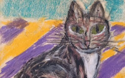 Animal Portraits that Tell a Story: A Visual Arts Workshop with artist Garima Naredi & Path with Art
