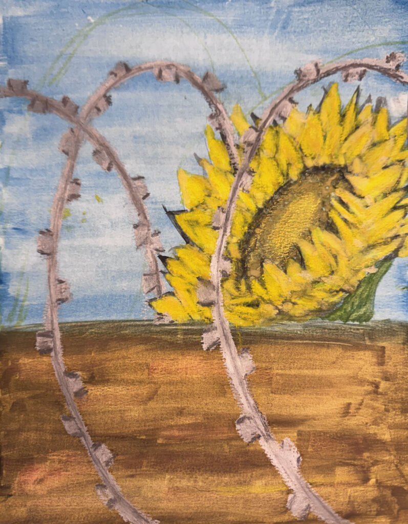 Concertina (2026) — Watercolor, Acrylic, Oil Pastel, 12"×14" — Belena Stuart Marquez Painting of a bright yellow sunflower with a brown center against a blue sky and brown ground. Loops of barbed wire curve across the foreground, partially obscuring the flower.