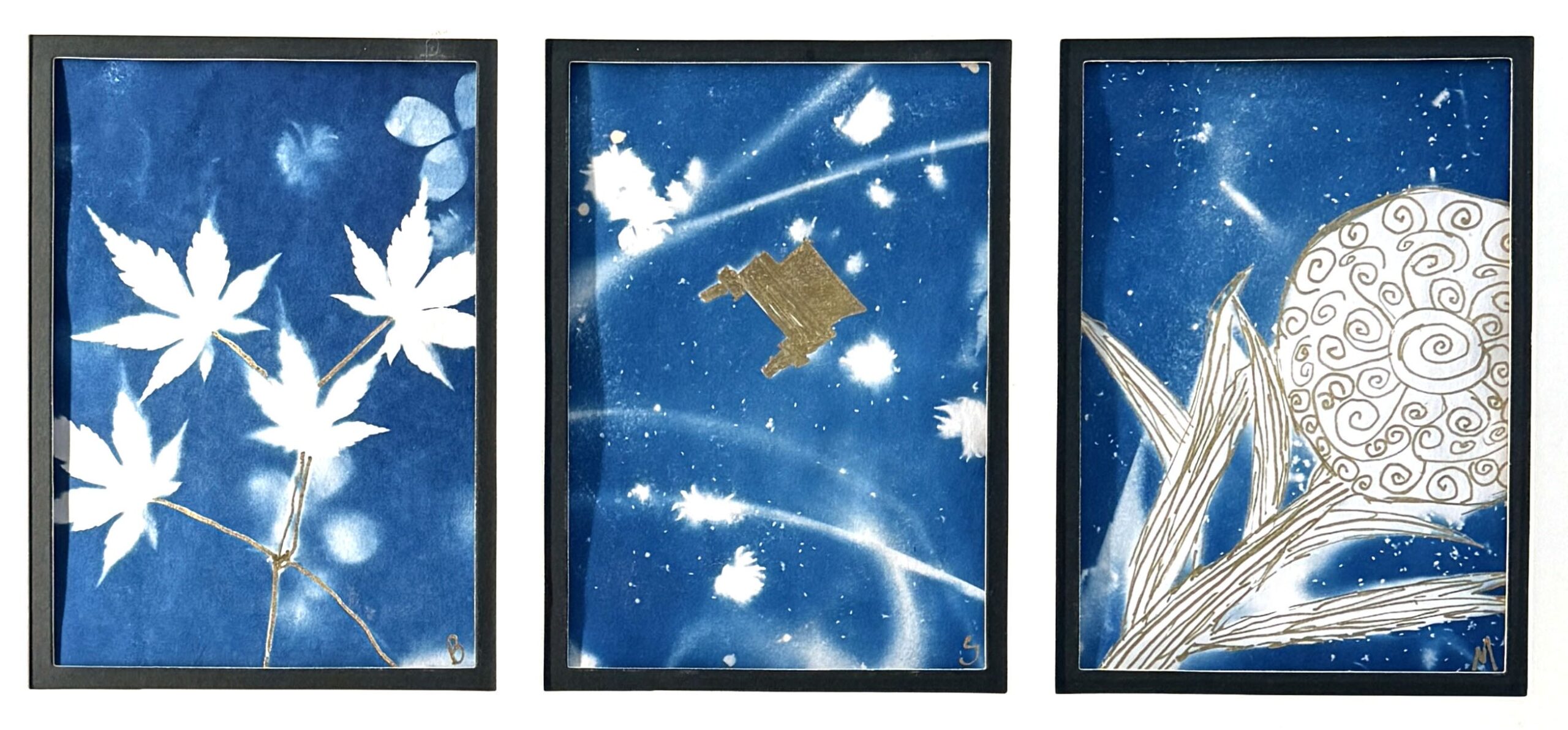 Distance/Time (2026) — Cyanotype, Chrome Ink, 12"×24" — Belena Stuart Marquez Three cyanotype prints displayed side by side. The left print shows white silhouettes of maple leaves against a deep blue background. The center print features abstract white shapes with a small gold geometric accent. The right print includes a large circular form with swirling patterns and long pointed leaf‑like shapes extending from the bottom. Gold detailing appears throughout the set.