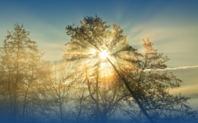 Glowing in the Bright: A Summer Reading and Gathering hosted by Seema Reza