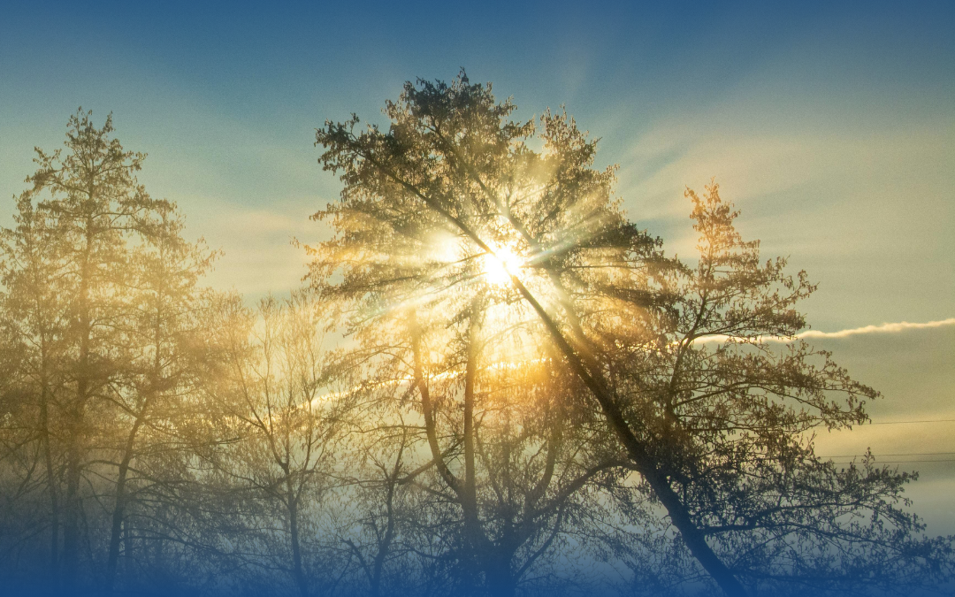 Glowing in the Bright: A Summer Reading and Gathering hosted by Seema Reza