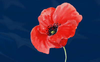 We Remember: A Month of Memorial Day Reflection and Connection