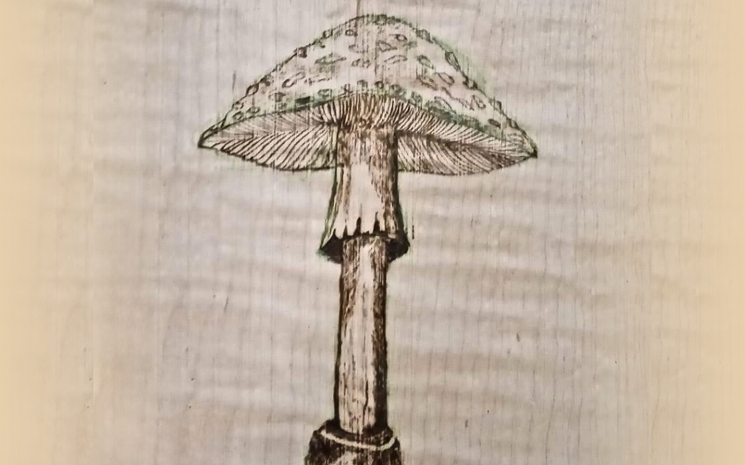 Woodburning — Visual Arts Workshop A detailed woodburned illustration of a tall mushroom with a textured stem and spotted cap, rendered in fine lines on a light wood surface. The natural grain of the wood adds warmth and depth to the botanical design.